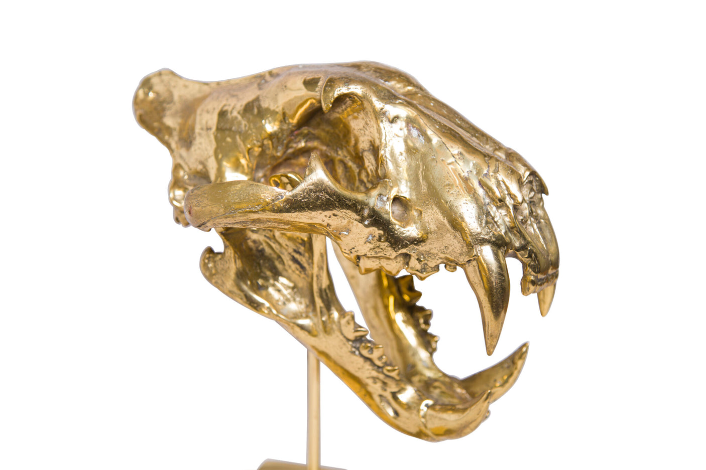 Brass Fangs sculpture, Cocolea, , ,
