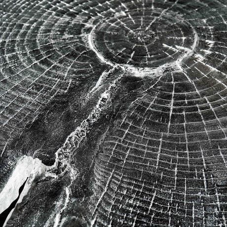 Wood Grain Coffee Table, Cocolea, , ,