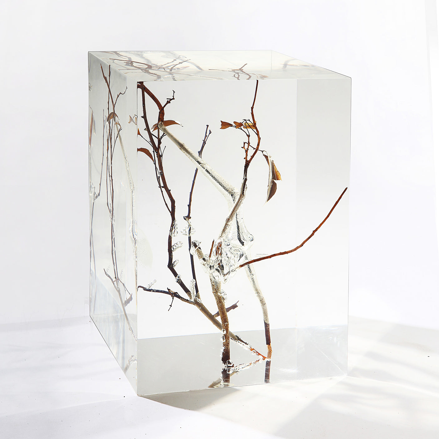 Branch Square Stool, Cocolea, , ,