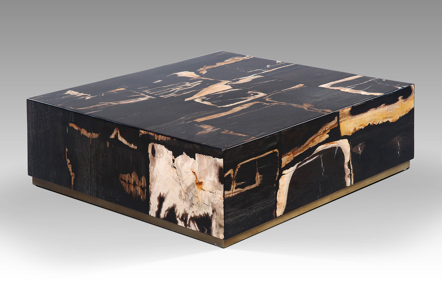 Amber Cube Petrified Wood Coffee Table, Cocolea, , ,