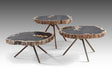 Poppy Petrified Wood Trio Nestling Coffee Table set, Cocolea, , ,