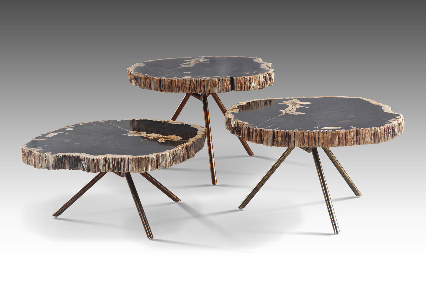 Poppy Petrified Wood Trio Nestling Coffee Table set, Cocolea, , ,