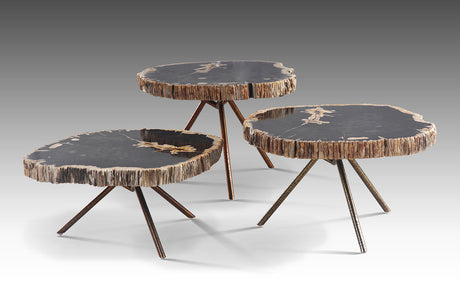 Poppy Petrified Wood Trio Nestling Coffee Table set, Cocolea, , ,