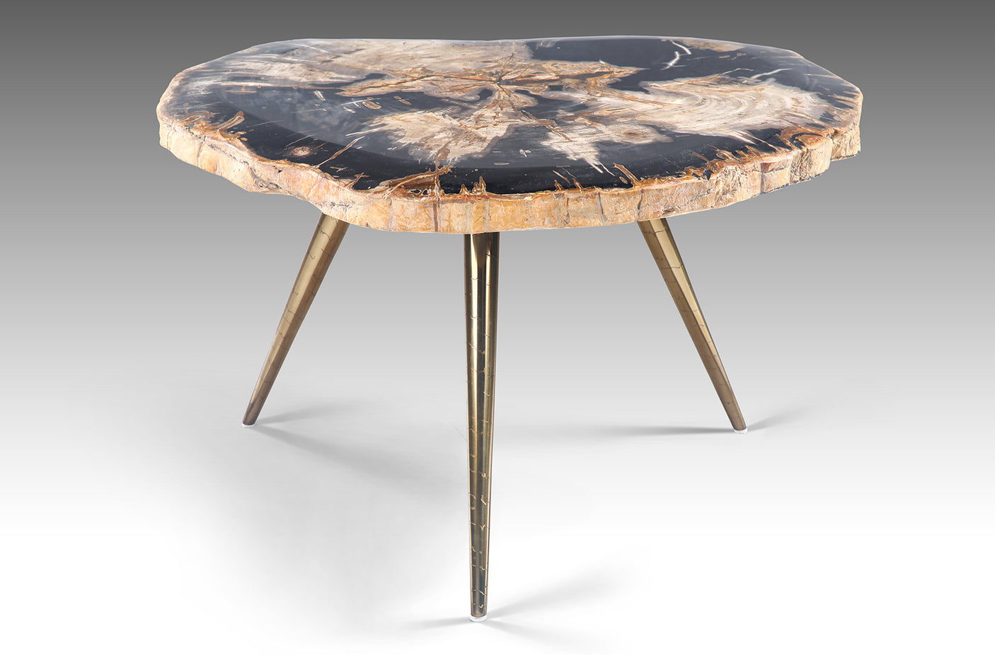 Petro Petrified Wood Coffee Table, Cocolea, , ,