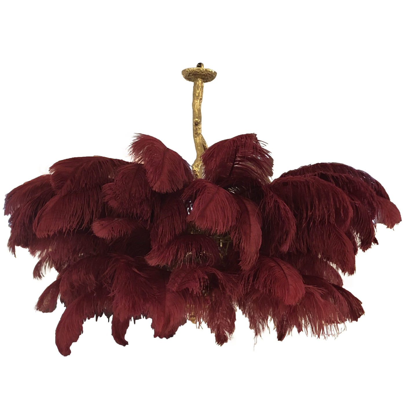 Ostro Genuine Ostrich Feather Brass Ceiling Pendant Chandelier, Cocolea, , ,