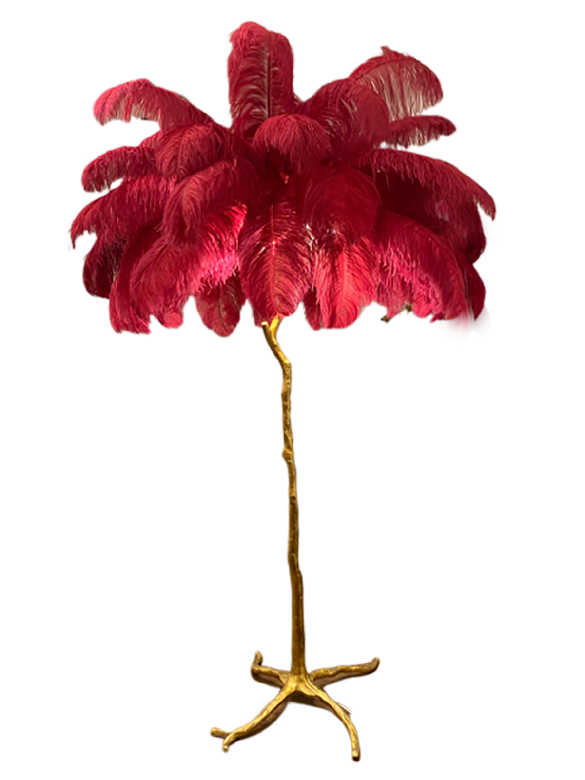 Ostro Genuine Ostrich Feather Brass Floor Lamp, Cocolea, , ,