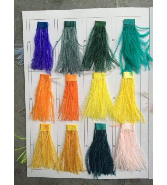 Ostro Genuine Ostrich Feather Brass Floor Lamp, Cocolea, , ,