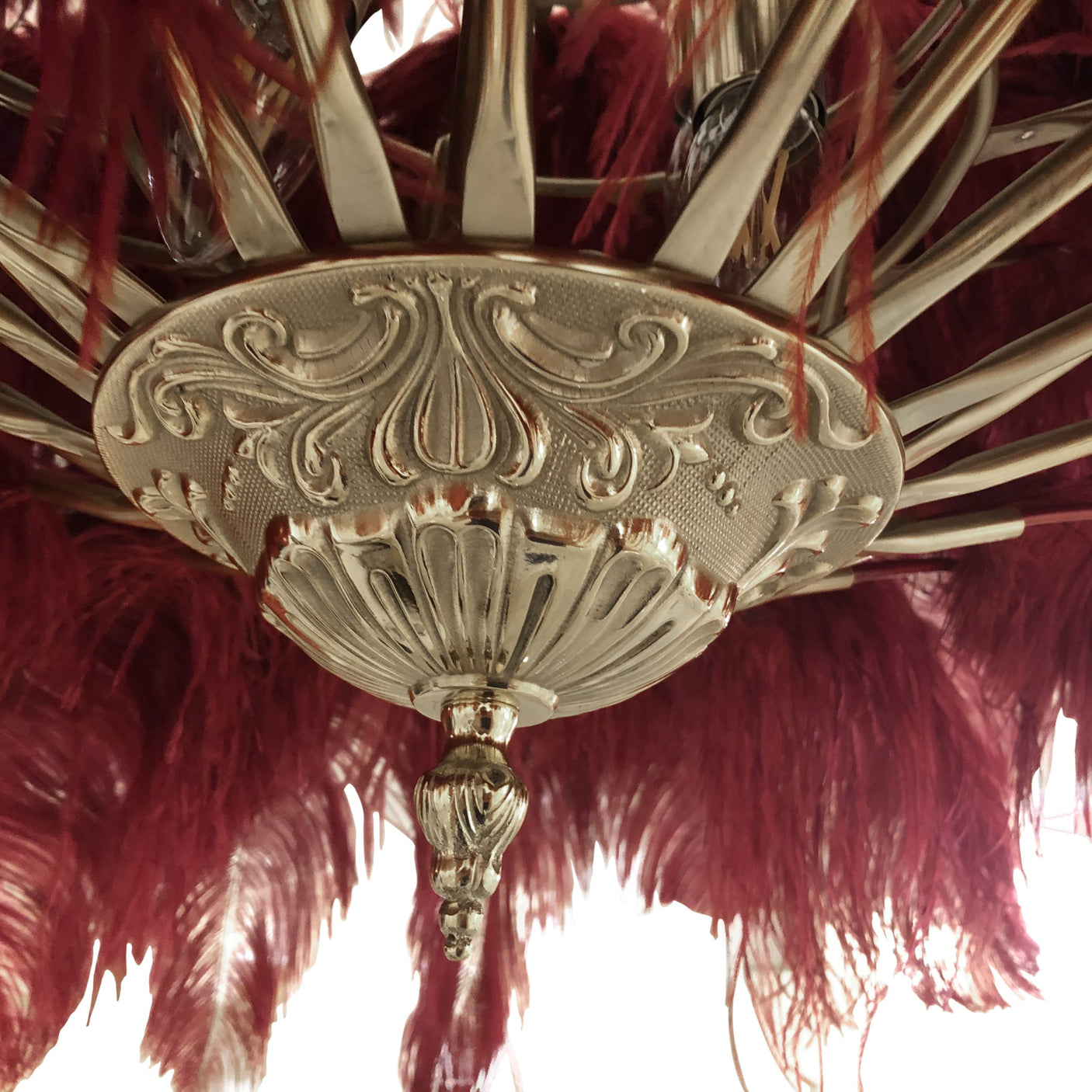 Ostro Genuine Ostrich Feather Brass Ceiling Pendant Chandelier, Cocolea, , ,