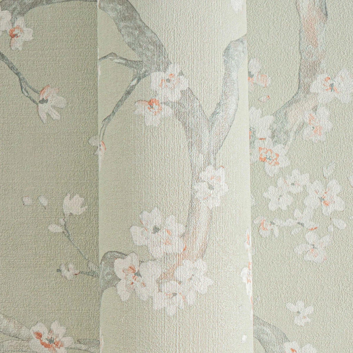 Trailing Cherry Tree Wallpaper, Cocolea Natty & Polly, , ,