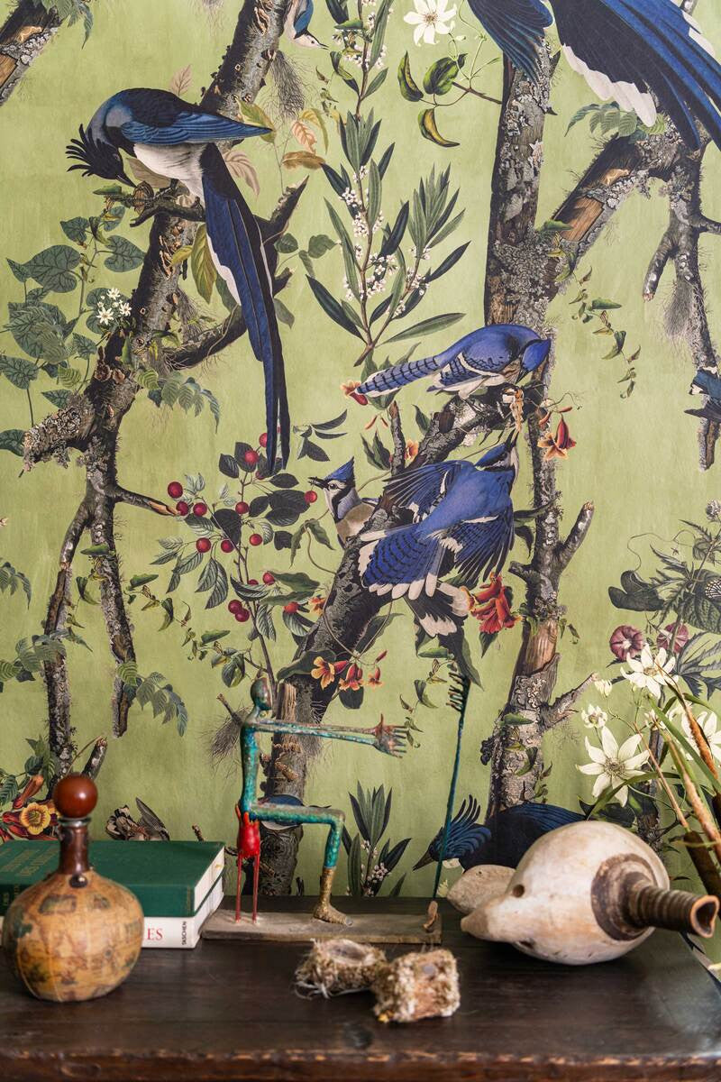 Birds Of Danube Wallpaper, Cocolea Natty & Polly, , ,
