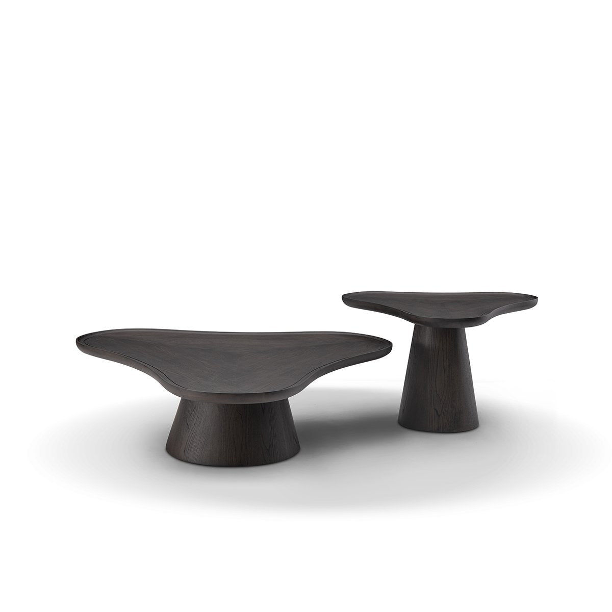 Rivano Sculpted Coffee Table in Dark Grey Elm Veneer with Solid Wood Edge, Maison Debrah, , ,