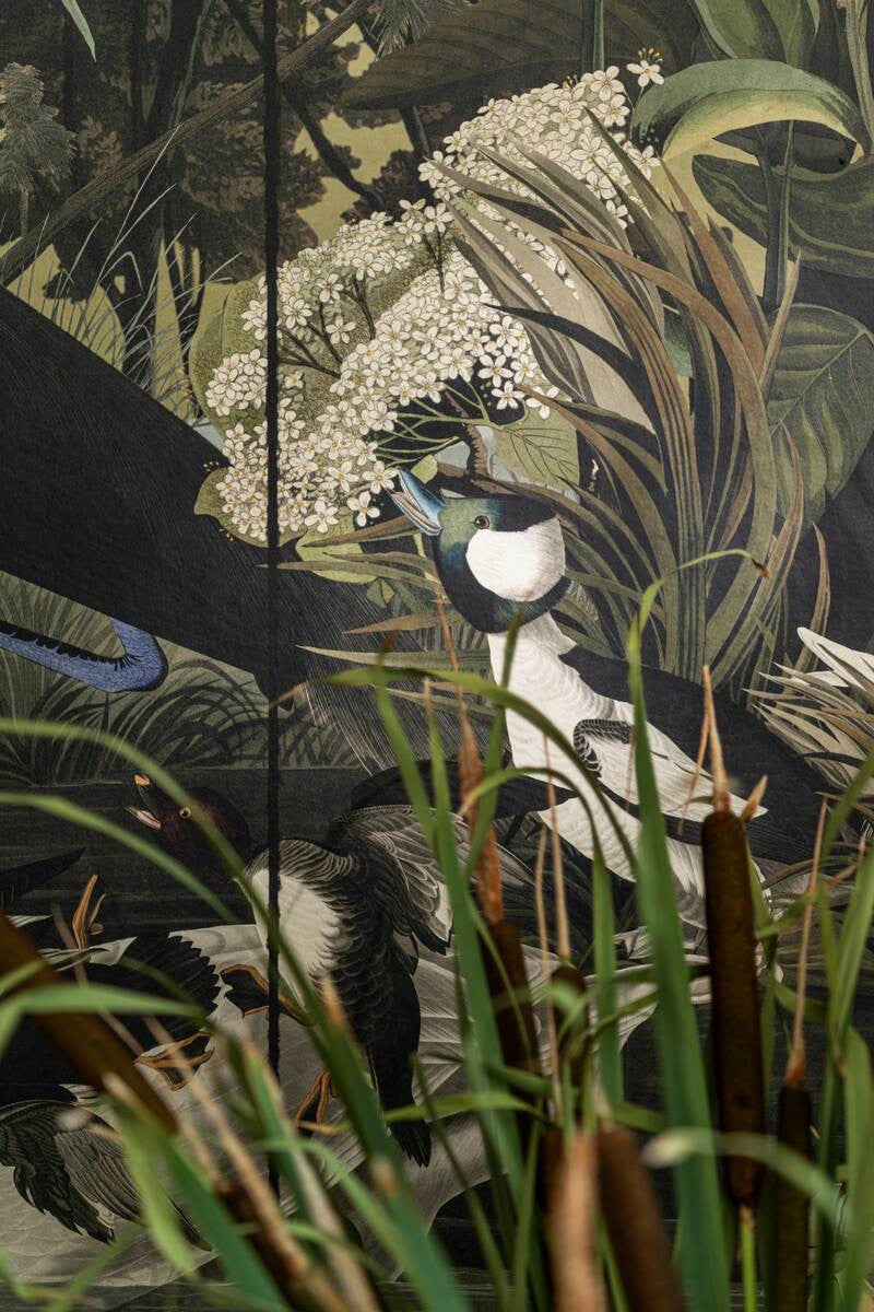 Danubian Tale Wallpaper, Cocolea Natty & Polly, , ,