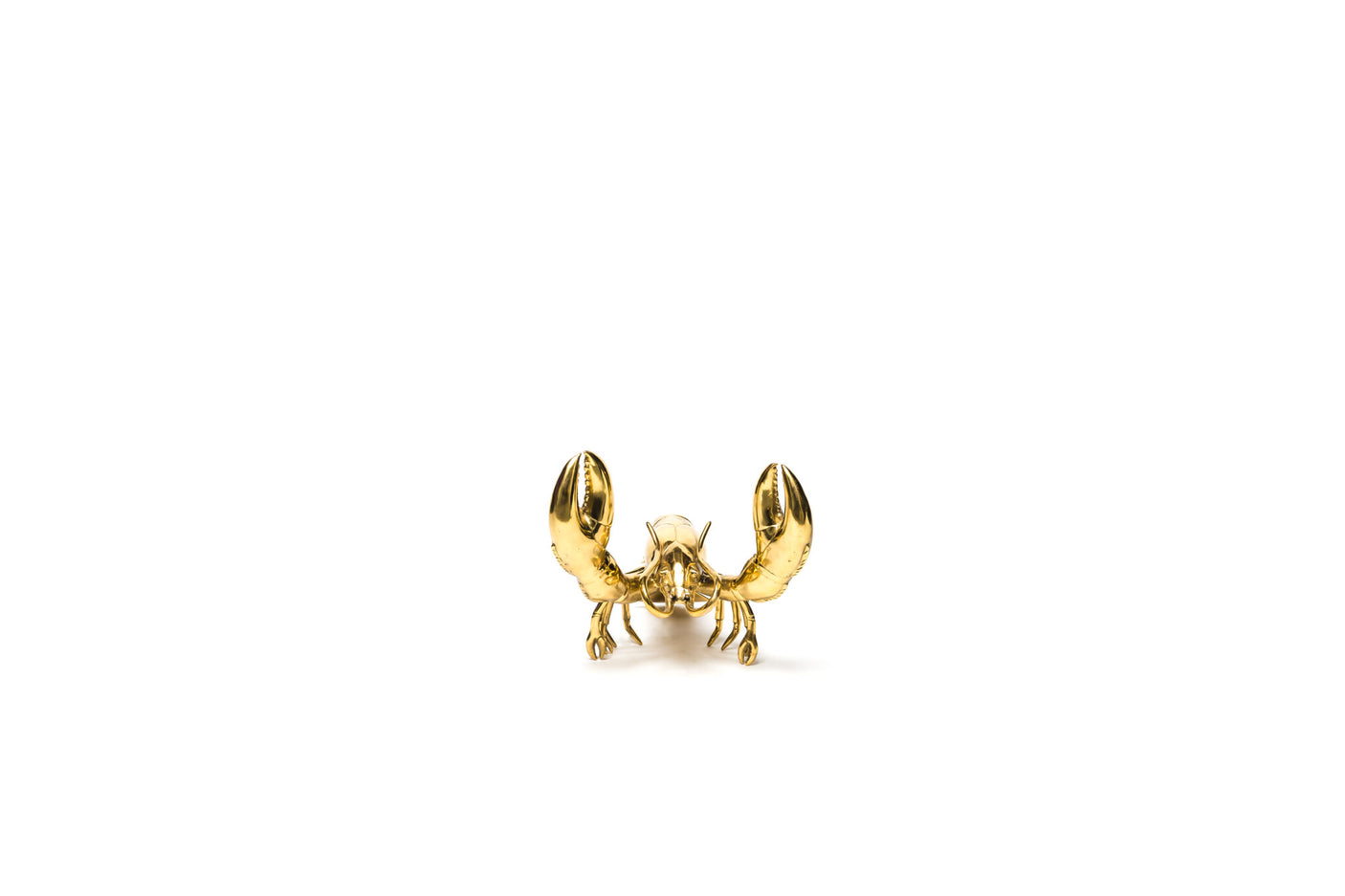 Brass lobster, Cocolea, , ,