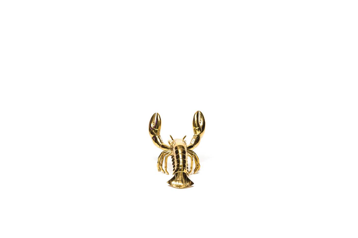 Brass lobster, Cocolea, , ,
