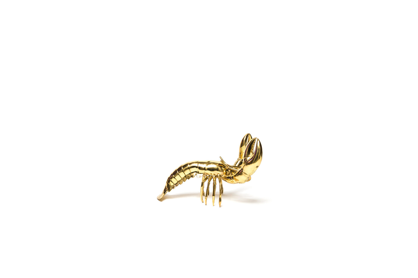Brass lobster, Cocolea, , ,