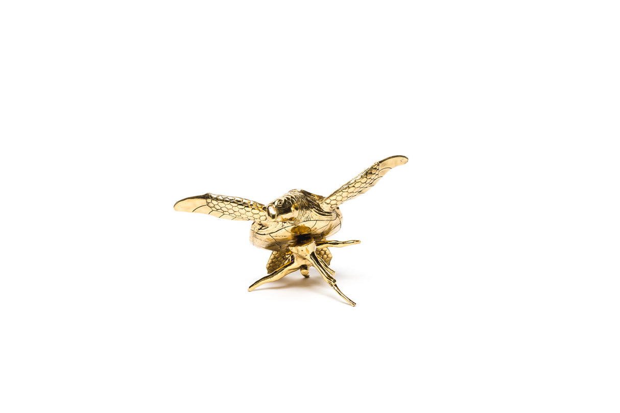 Brass Turtle, Cocolea, , ,