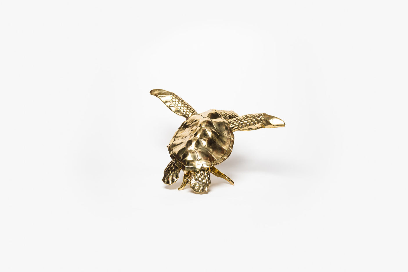Brass Turtle, Cocolea, , ,