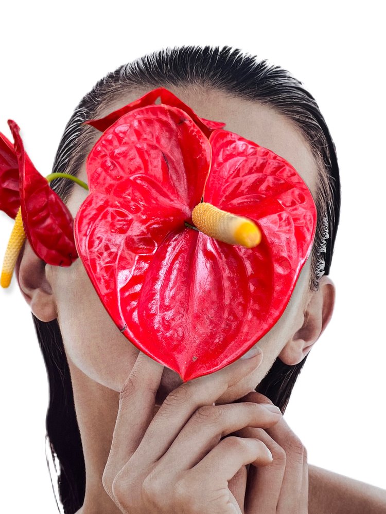 Passion Flower, Cocolea, , ,