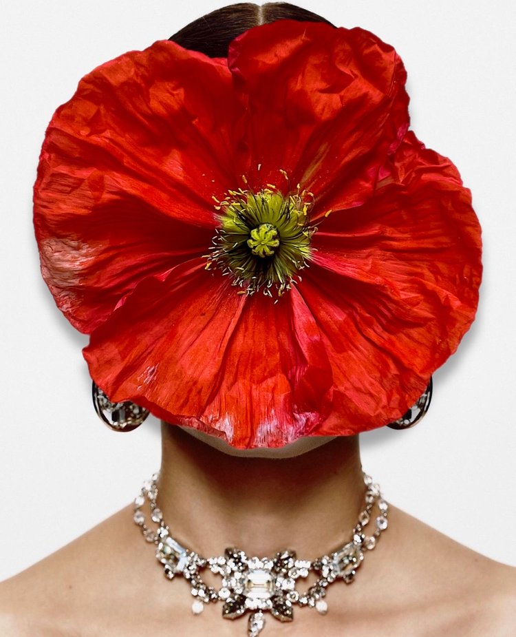 Big Dreams, Cocolea, , ,