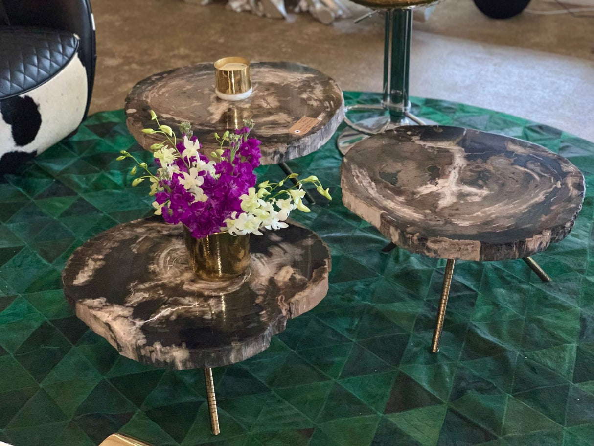 Poppy Petrified Wood Trio Nestling Coffee Table set, Cocolea, , ,