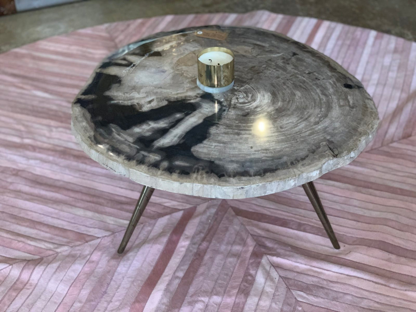 Petro Petrified Wood Coffee Table, Cocolea, , ,