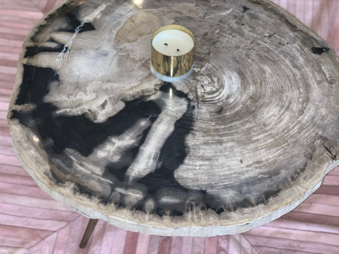 Petro Petrified Wood Coffee Table, Cocolea, , ,