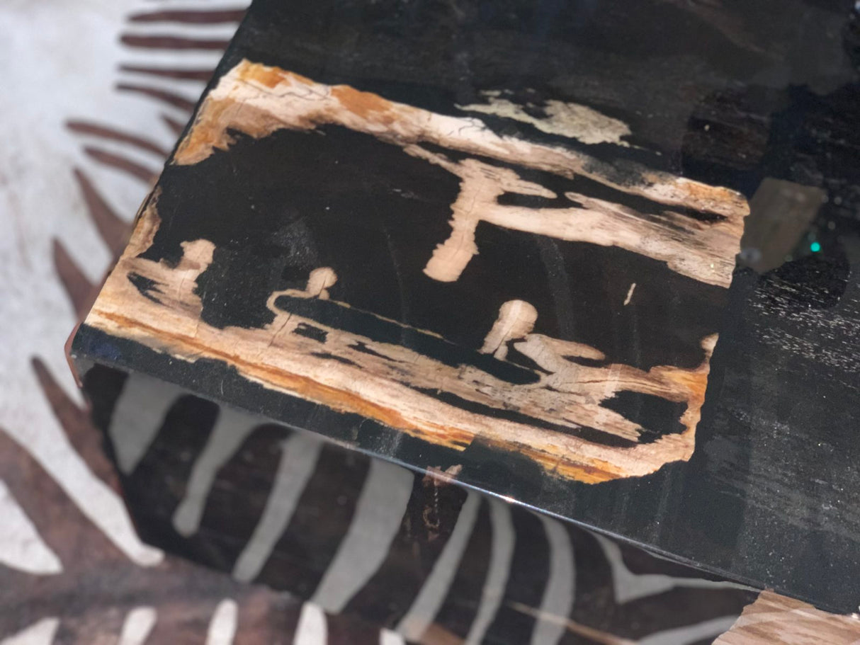 Amber Cube Petrified Wood Coffee Table, Cocolea, , ,