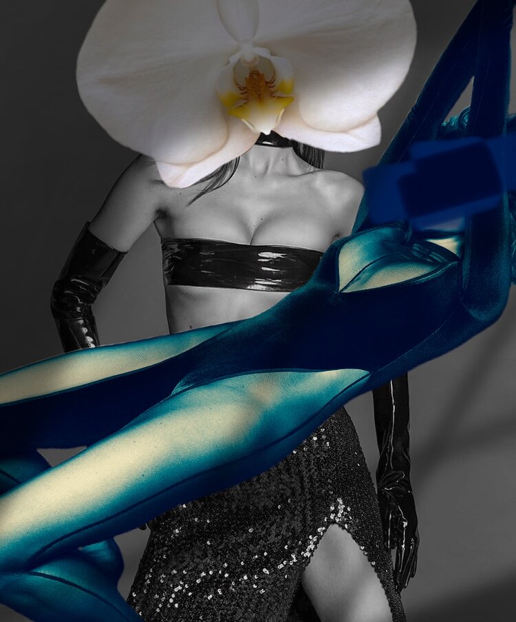 Hold me Bella, Cocolea, , ,