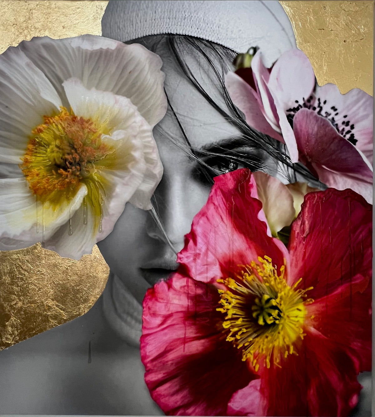 Wild Poppies, Cocolea, , ,