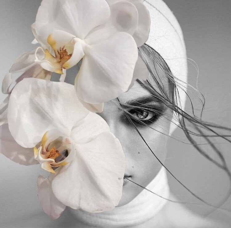 Willow, Cocolea, , ,