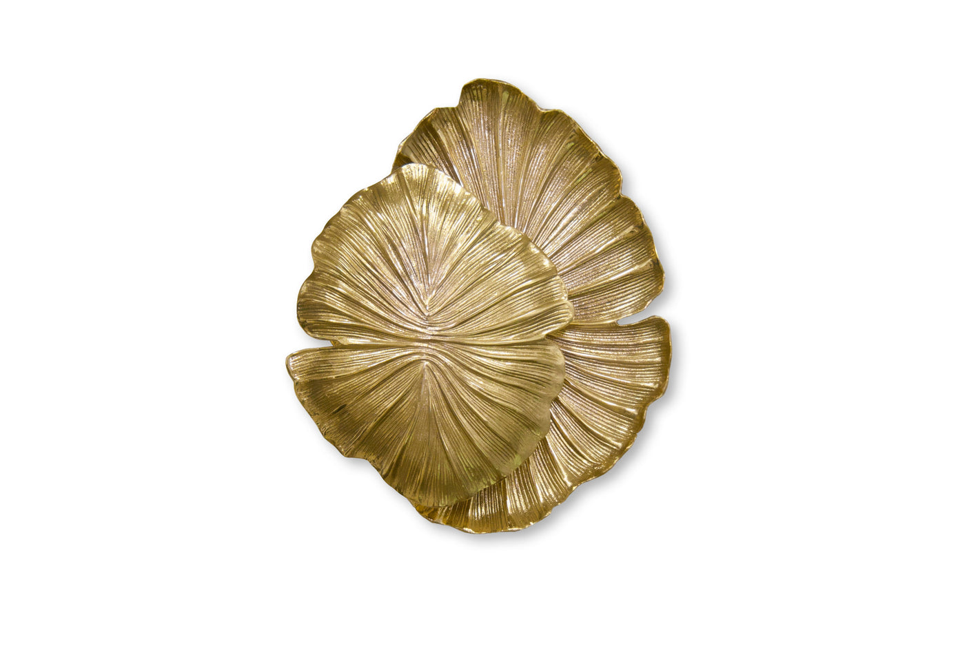 Passion Sconce, Cocolea, , ,