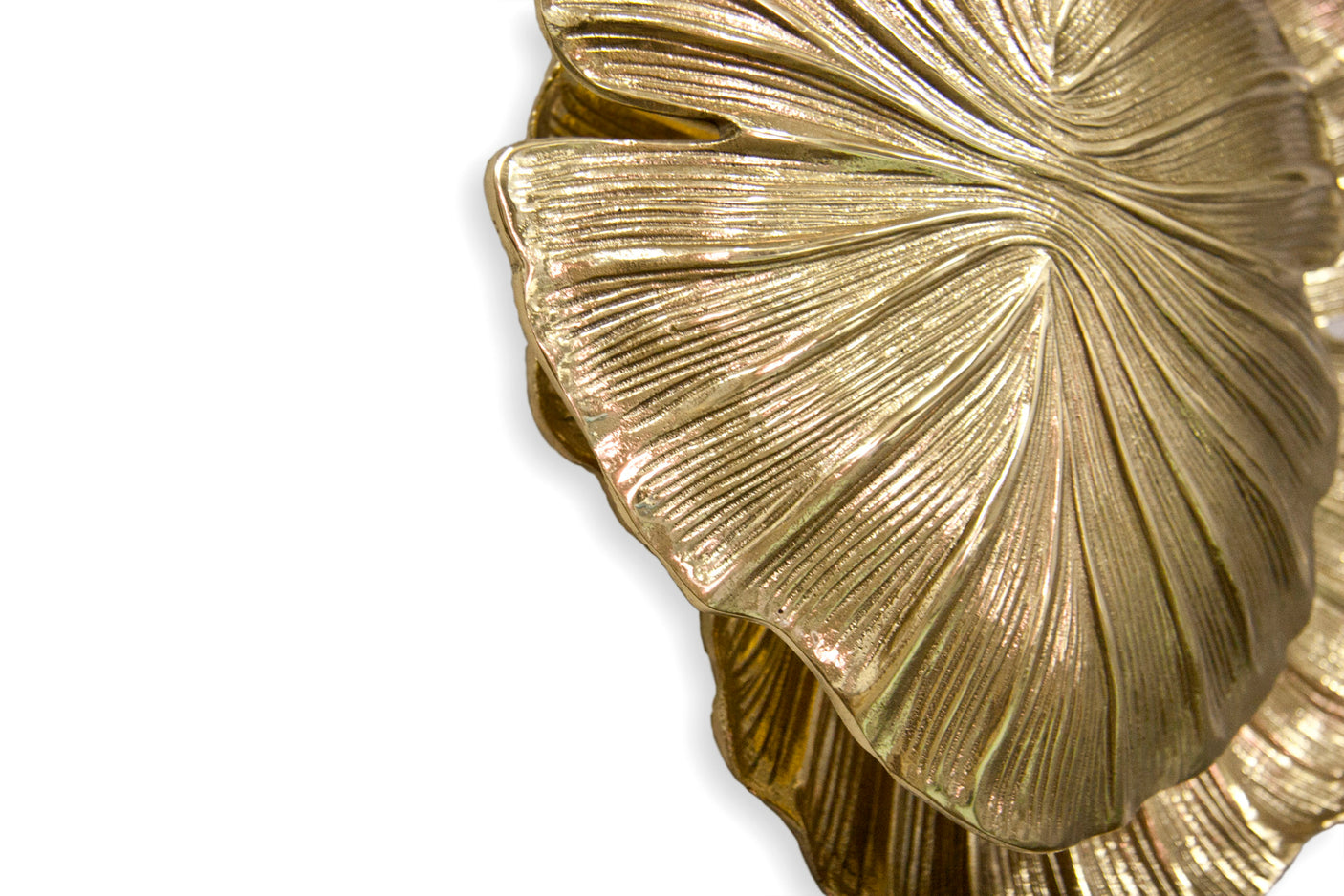 Passion Sconce, Cocolea, , ,