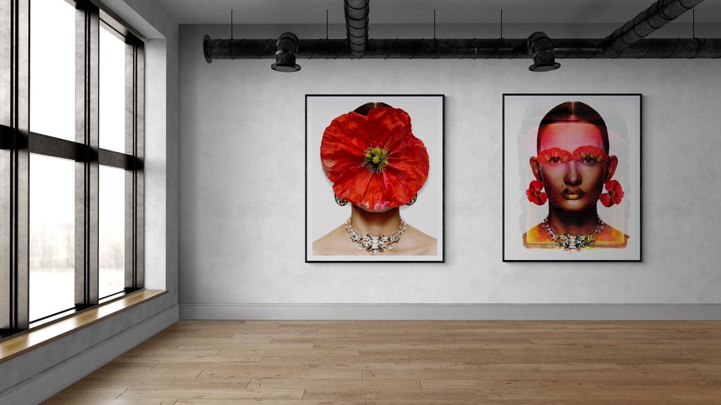 Big Dreams, Cocolea, , ,