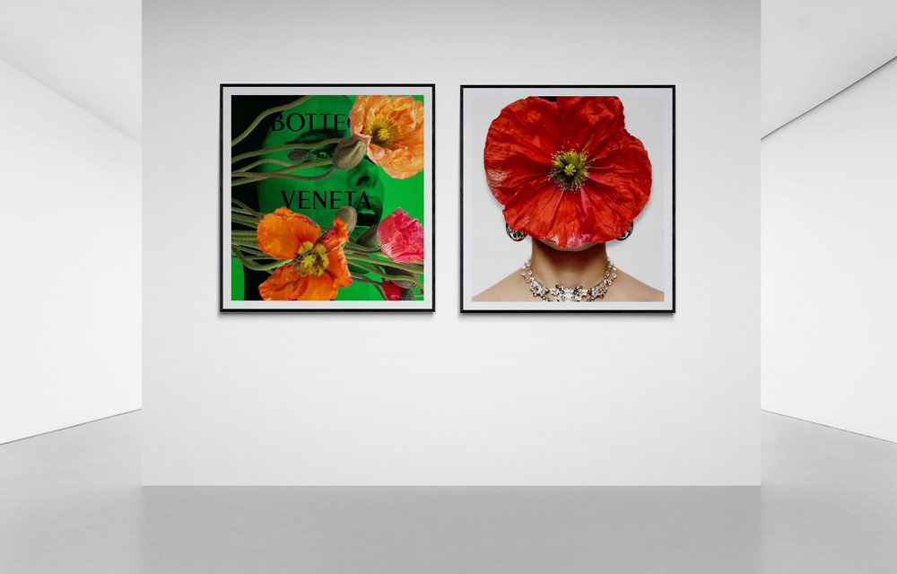 Big Dreams, Cocolea, , ,