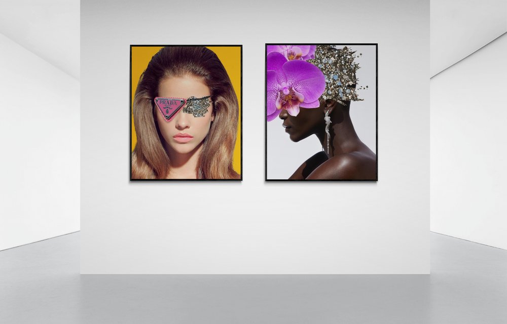 crocodile rock, Cocolea, , ,