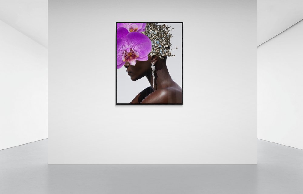 crocodile rock, Cocolea, , ,