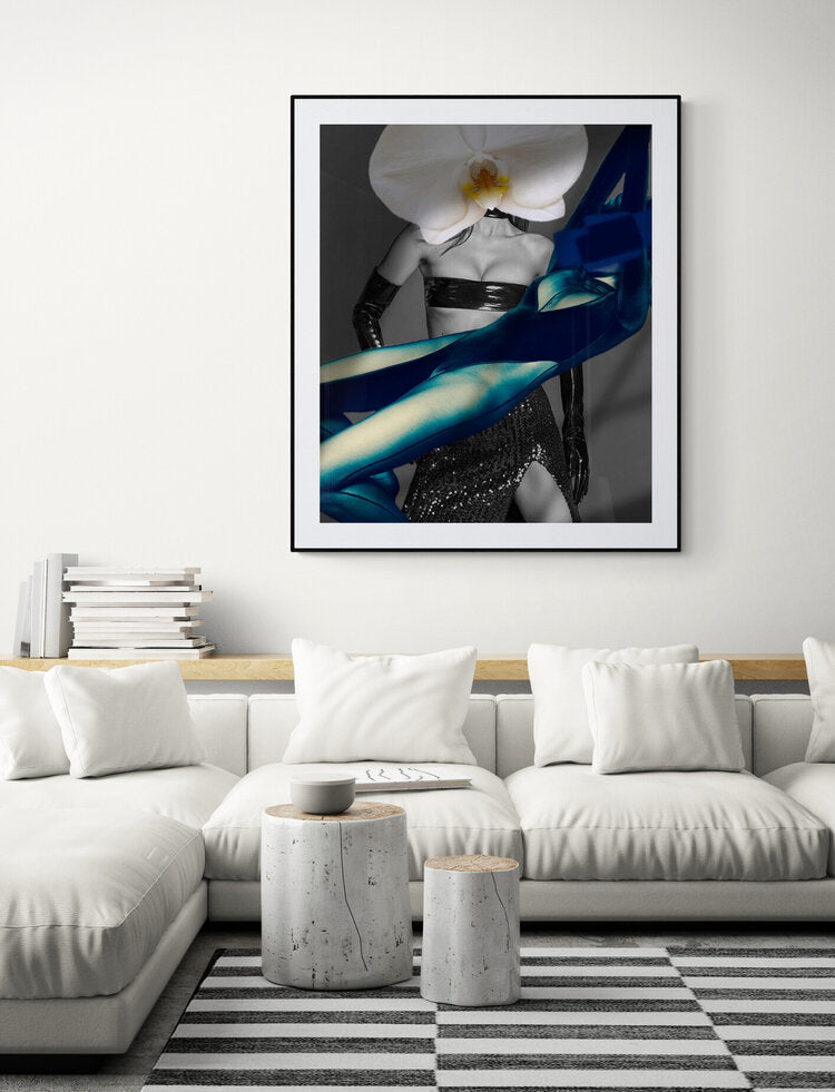 Hold me Bella, Cocolea, , ,