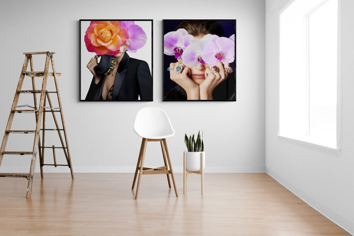 Lolita, Cocolea, , ,