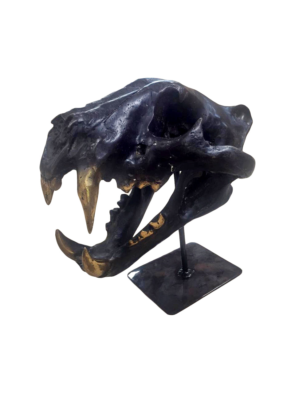 Black Fangs, Cocolea, , ,