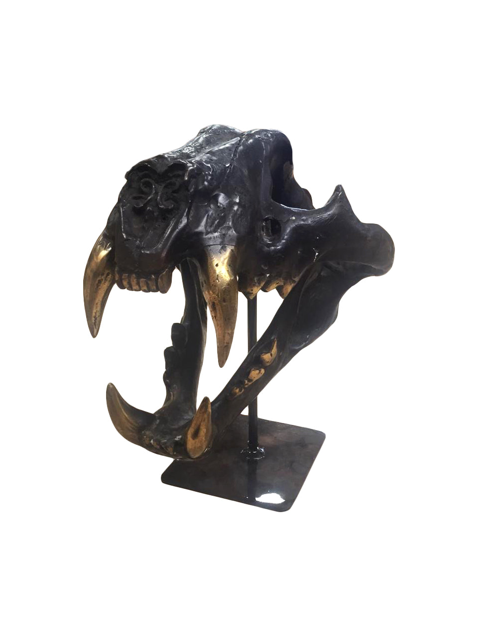 Black Fangs, Cocolea, , ,