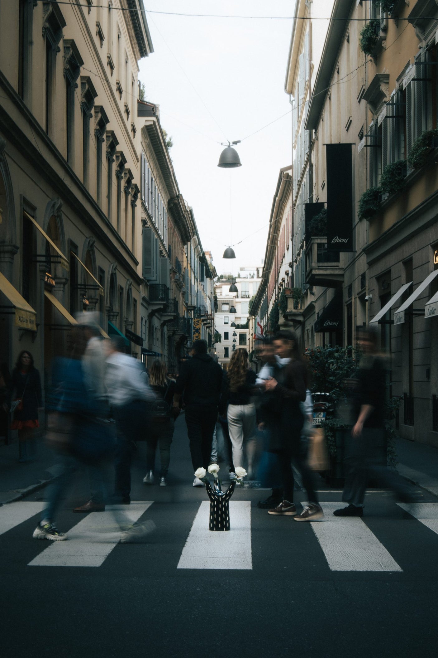 Tree Vase, Cocolea, , ,