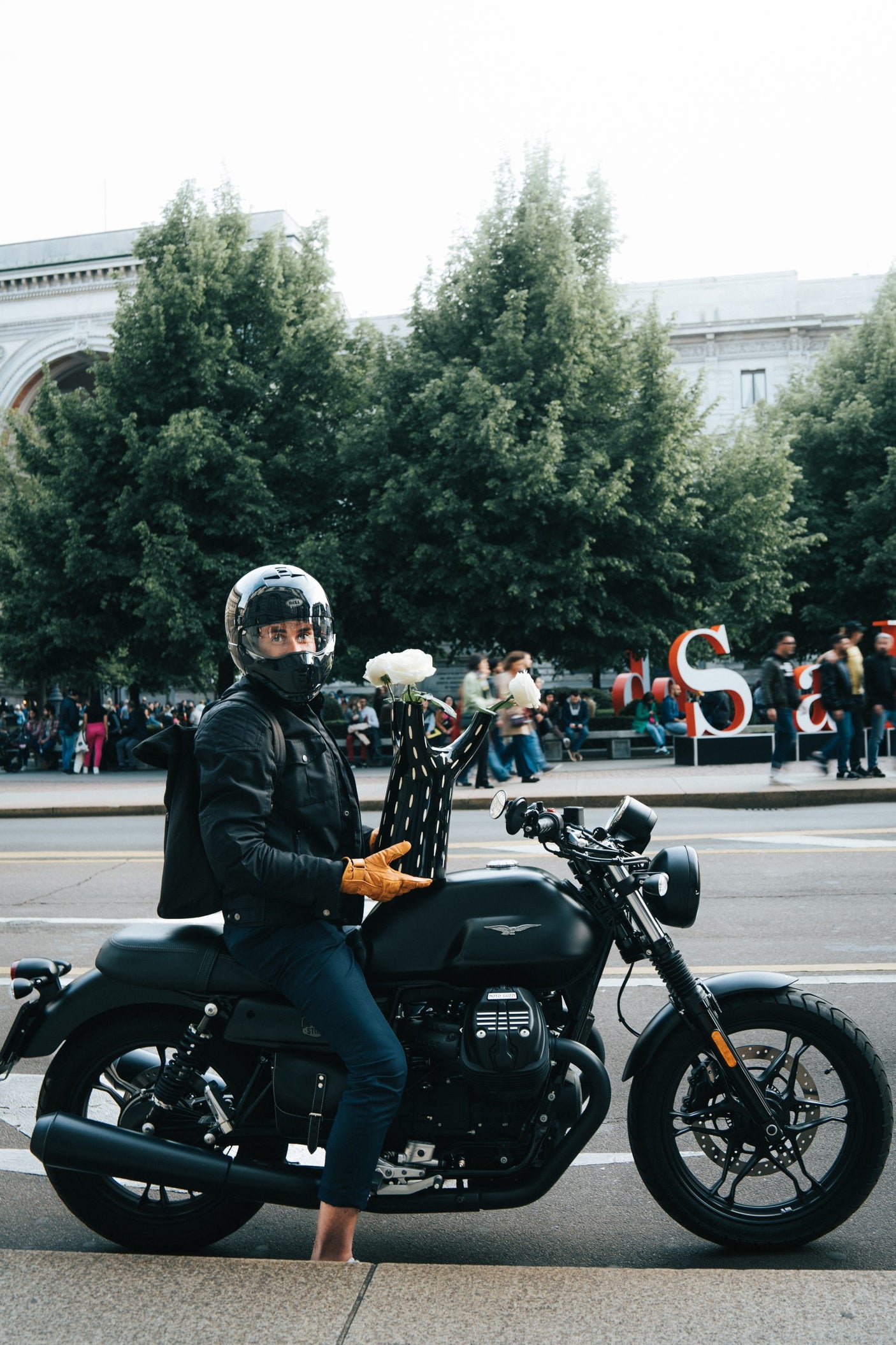 Tree Vase, Cocolea, , ,