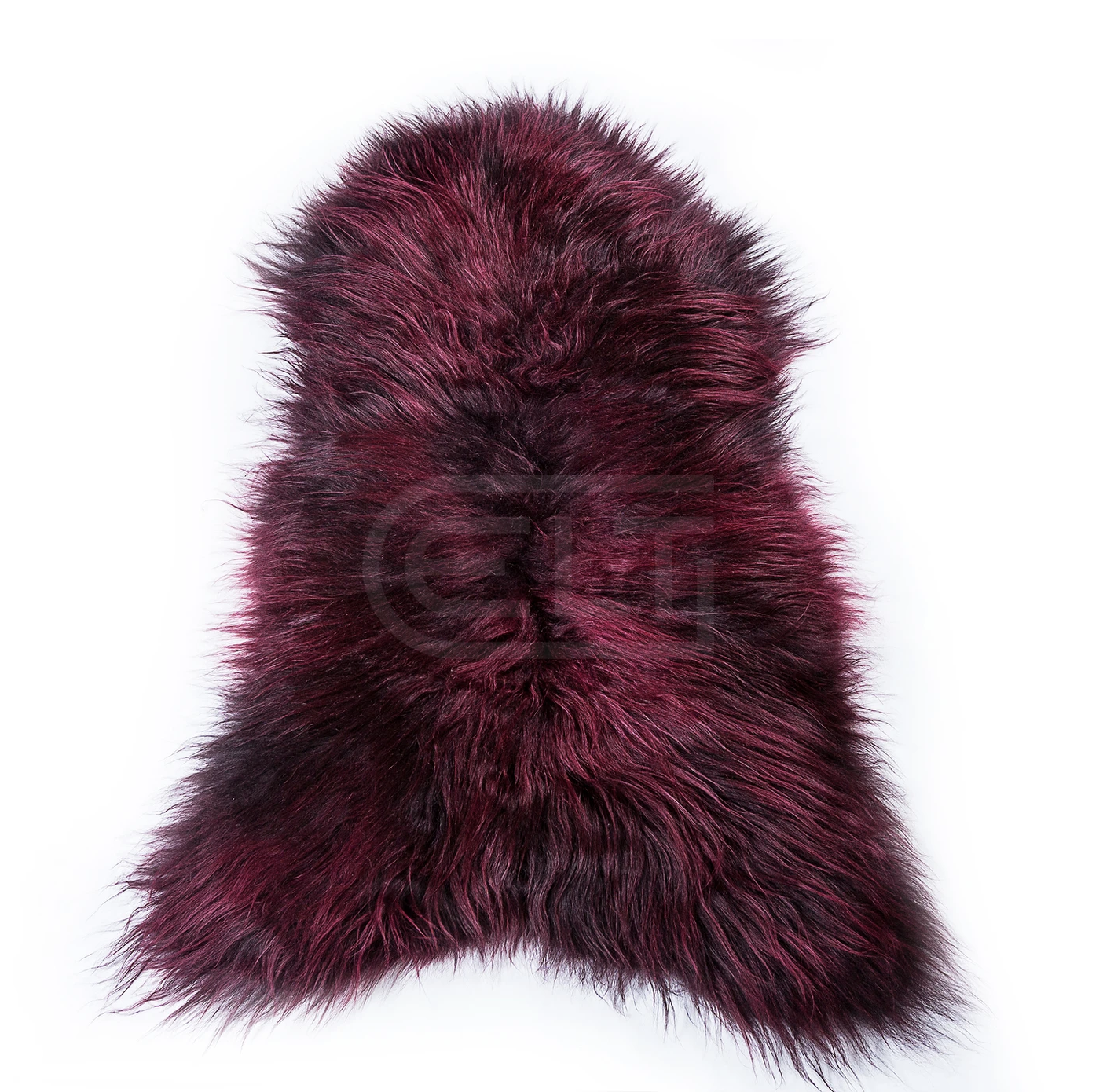 ICELANDIC SHEEP, Cocolea, , ,