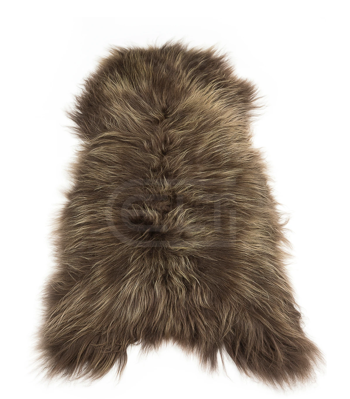 CHESNUT ICELANDIC SHEEP, Cocolea, , ,