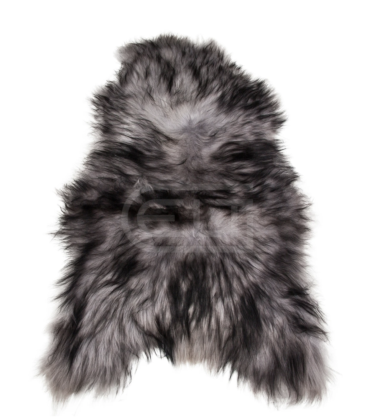 ARGENTO ICELANDIC SHEEP, Cocolea, , ,