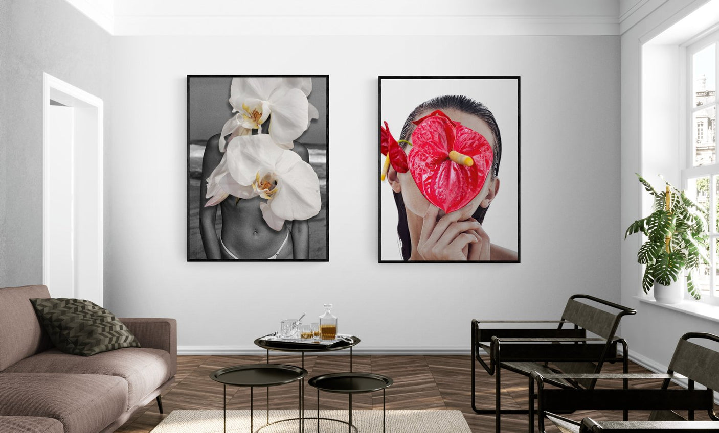 Passion Flower, Cocolea, , ,