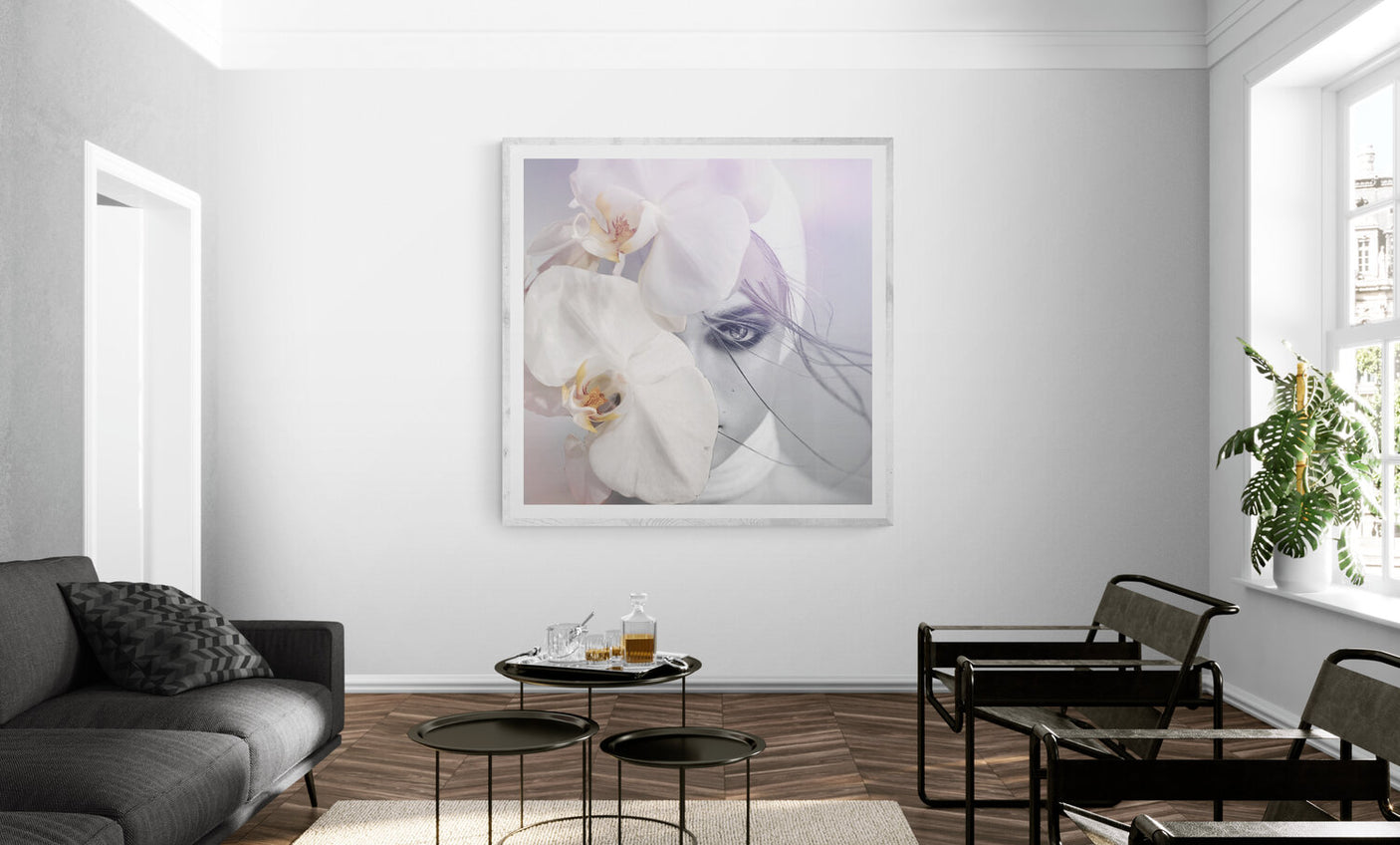 Willow, Cocolea, , ,