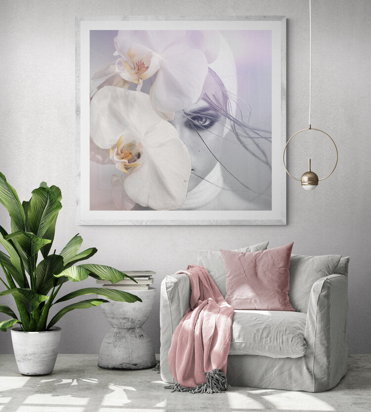 Willow, Cocolea, , ,