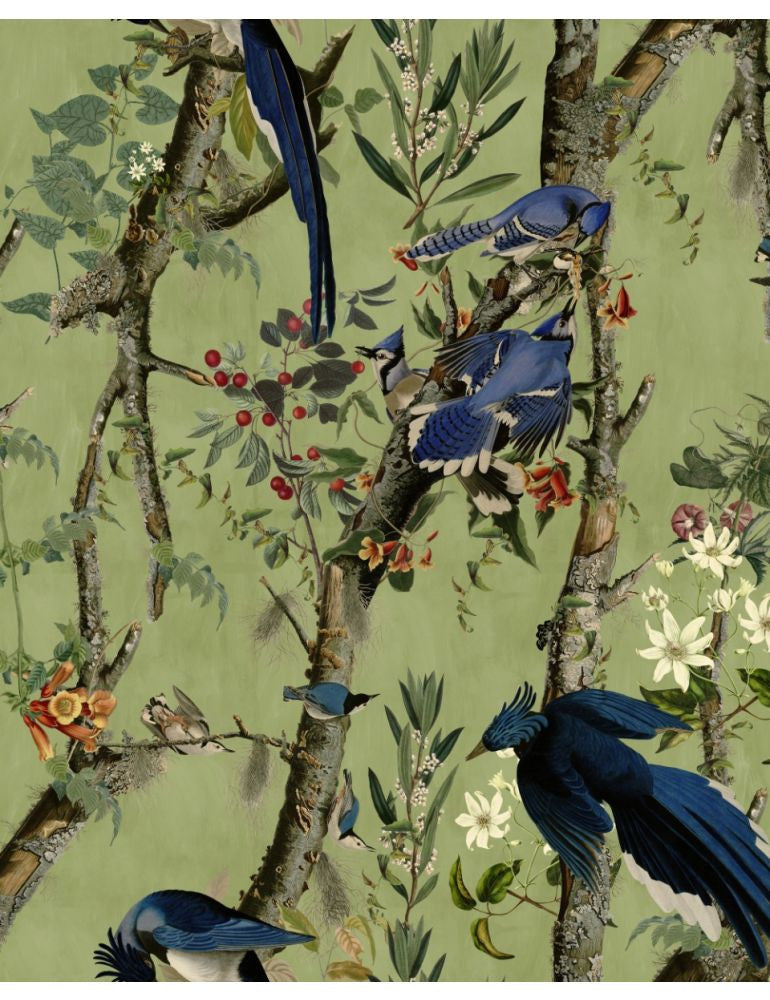 Birds Of Danube Wallpaper, Cocolea Natty & Polly, , ,