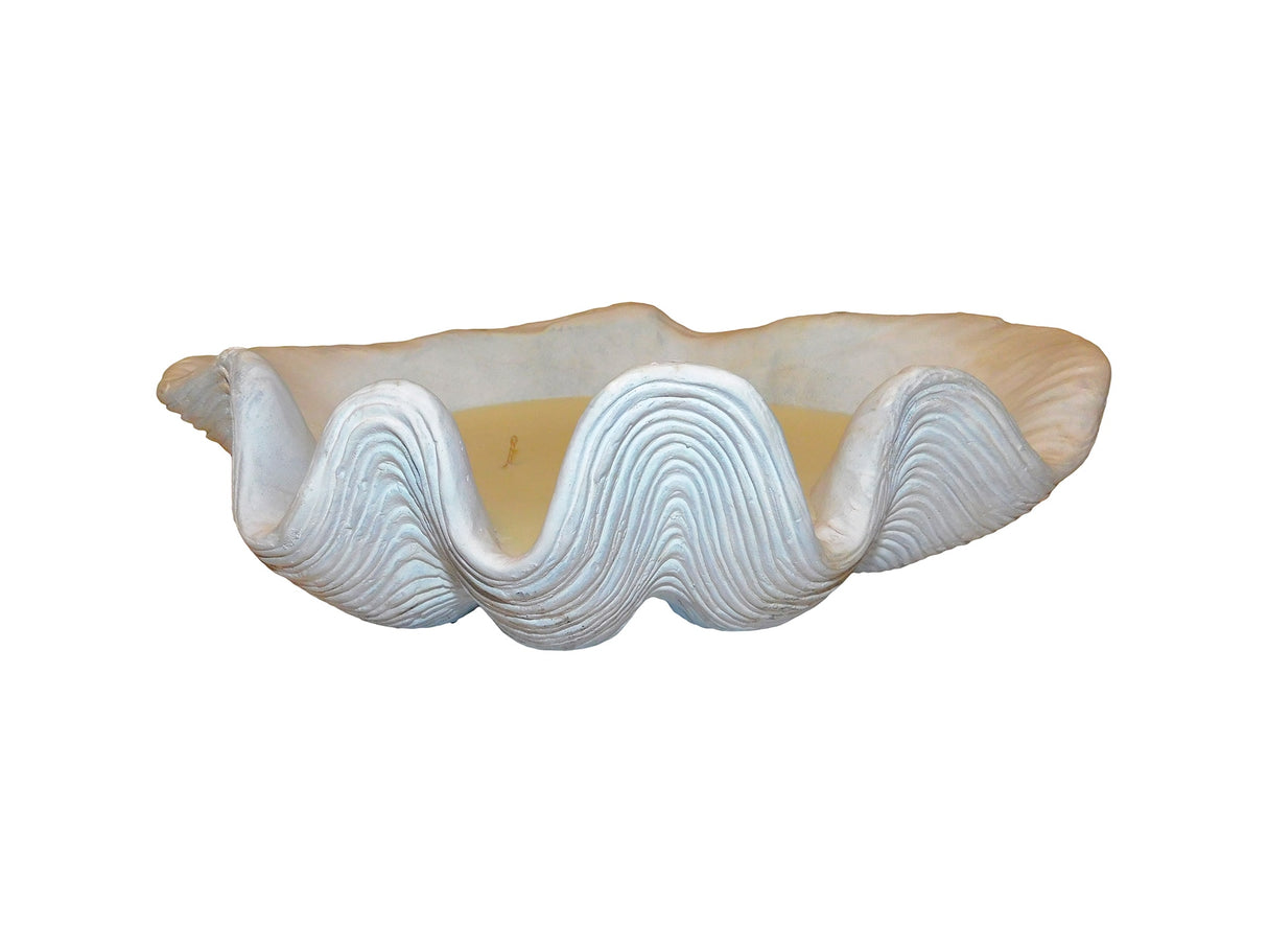 Candle Clam, Cocolea, , ,